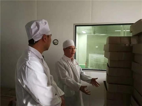 精益求精 家電工廠邁向卓越生產(chǎn)的實踐與啟示